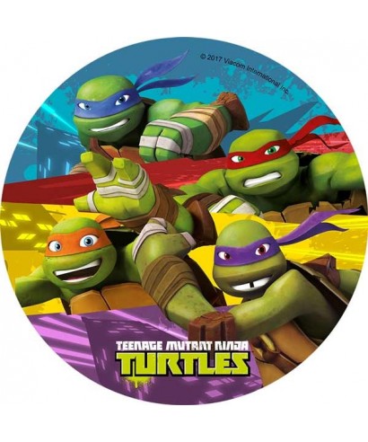 Disque Azyme Tortue Ninja A 3 50 Disque Azyme Tortue Ninja A 3 50