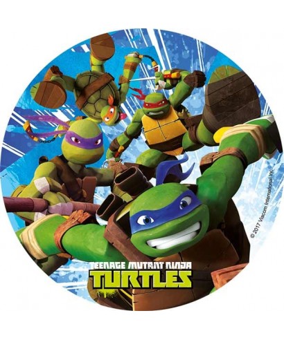 Disque Pate A Sucre Tortue Ninja A L Attaque A 4 00 Disque Pate A Sucre Tortue Ninja A L Attaque A 4 00