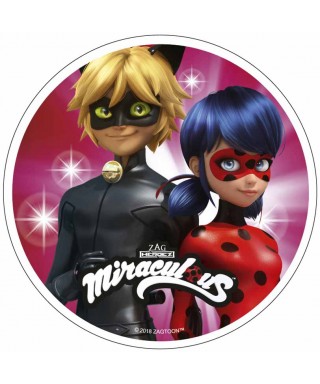 Disque Azyme Miraculous Ladybug Et Chat Noir Pour Miraculous A 3 50 Disque Azyme Miraculous Ladybug Et Chat Noir Pour Miraculous A 3 50