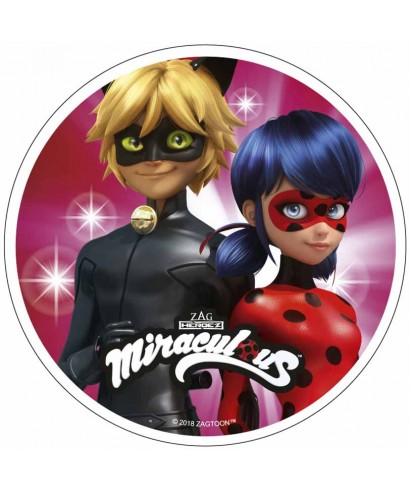 Disque Pate A Sucre Miraculous Ladybug Et Chat Noir A 4 00