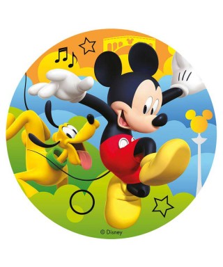 Disque Mickey et Pluto Disney