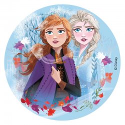 Disque la reine des neiges 2 Anna et Elsa Disney