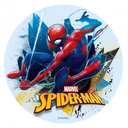 Disque Ultimate SpiderMan Marvel