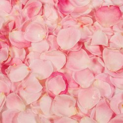 Arome 100% naturelle rose 25g PME