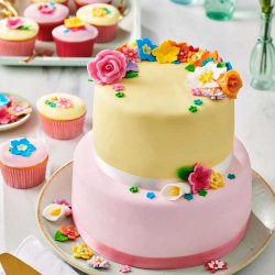 Pâte à Sucre Multipack Palette Bleue 5x100 g Funcakes