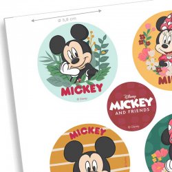 Minis Disques cupcakes et sablés Mickey et Minnie Disney