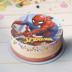 Disque SpiderMan 20cm Marvel