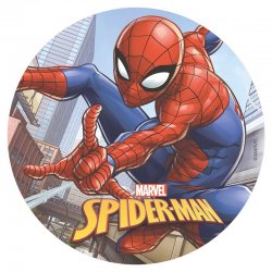 Disque SpiderMan 20cm Marvel