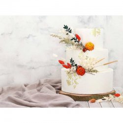 Cercle à gâteau ajustable 20cm Haut Cake-Masters