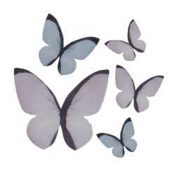 Papillons en Azyme 3 à 6 CM lot de 6 - Modèles aux choix