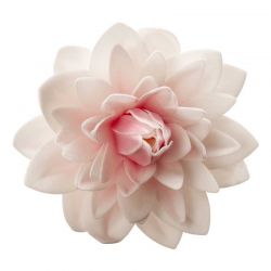 Dalia en azyme Rose 12.5 cm