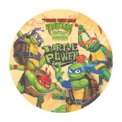 Disque azyme Tortue Ninja Teenage Mutant Mutant Mayhem