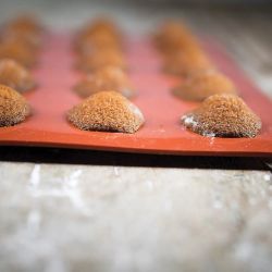 Moule plaque silicone madeleine Silikomart