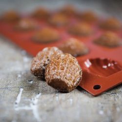 Moule plaque silicone madeleine Silikomart