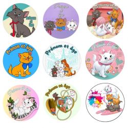 Disque à Gâteau Personnalisé Les Aristochats – Prénom & Âge