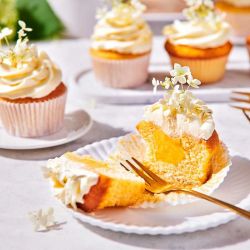 FunCakes – Mix Préparation pour Crème Pâtissière 1 kg (stable à la cuisson, vanille intense) FunCakes – Mix Préparation pour Crème Pâtissière 1 kg (stable à la cuisson, vanille intense)