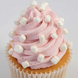 Crunch Mallows Blanc Nacré – Mini Guimauves Croustillantes pour Décoration de Gâteaux, Cupcakes et Pâtisseries