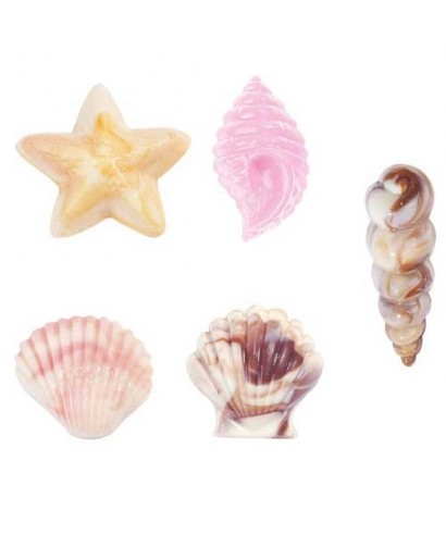 Moule Sucette Candy Melts® coquillages Wilton Moule Sucette Candy Melts® coquillages Wilton