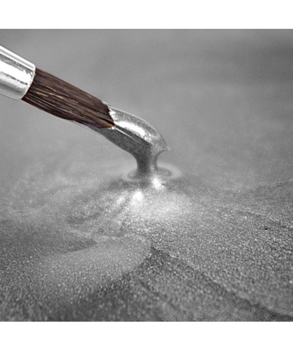 Peinture métallique argent Clair 25ml Rainbow Dust Peinture métallique argent Clair 25ml Rainbow Dust