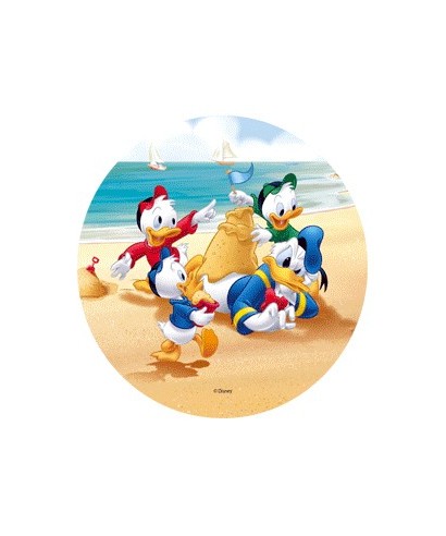 Disque Azyme Mickey et ses amis à la plage-2 Disque Azyme Mickey et ses amis à la plage-2