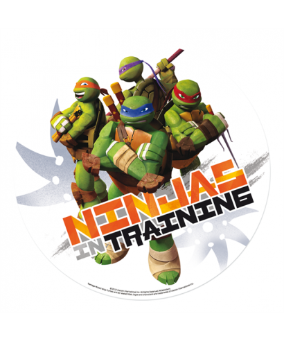 Disque en azyme Tortue Ninja fond gris Disque en azyme Tortue Ninja fond gris