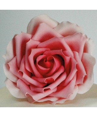 Grande Rose Pétale Ensemble de 3 pièces FMM Sugarcraft