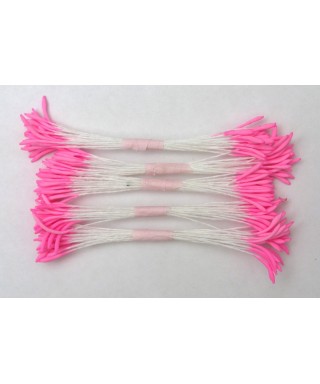 Étamines rose vif longue set/250