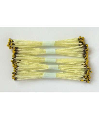 Étamines jaune à pointe marron et jaune set/250 Étamines jaune à pointe marron et jaune set/250