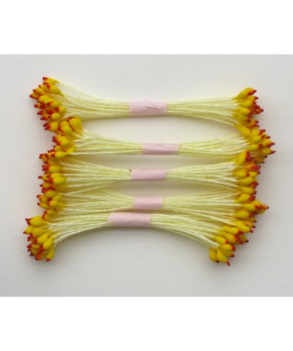 Étamines jaune et rouge à pointe set/250 Étamines jaune et rouge à pointe set/250