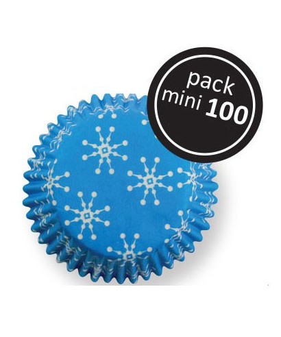 Mini Caissette Flocons de neige pk/100 PME 