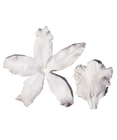 Moule silicone orchidée Squires Kitchen Moule silicone orchidée Squires Kitchen
