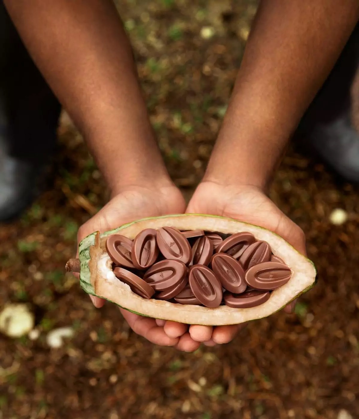 Plongez dans l'Univers du Chocolat Valrhona avec CakeDélice : Découvrez  l'Excellence du Chocolat de Qualité