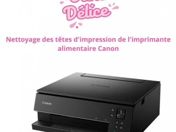 Nettoyage des têtes d'impression de l'imprimante alimentaire Canon